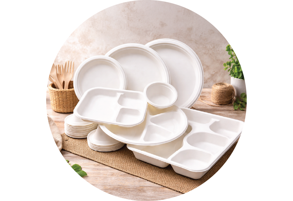 Bagasse Pulp Product