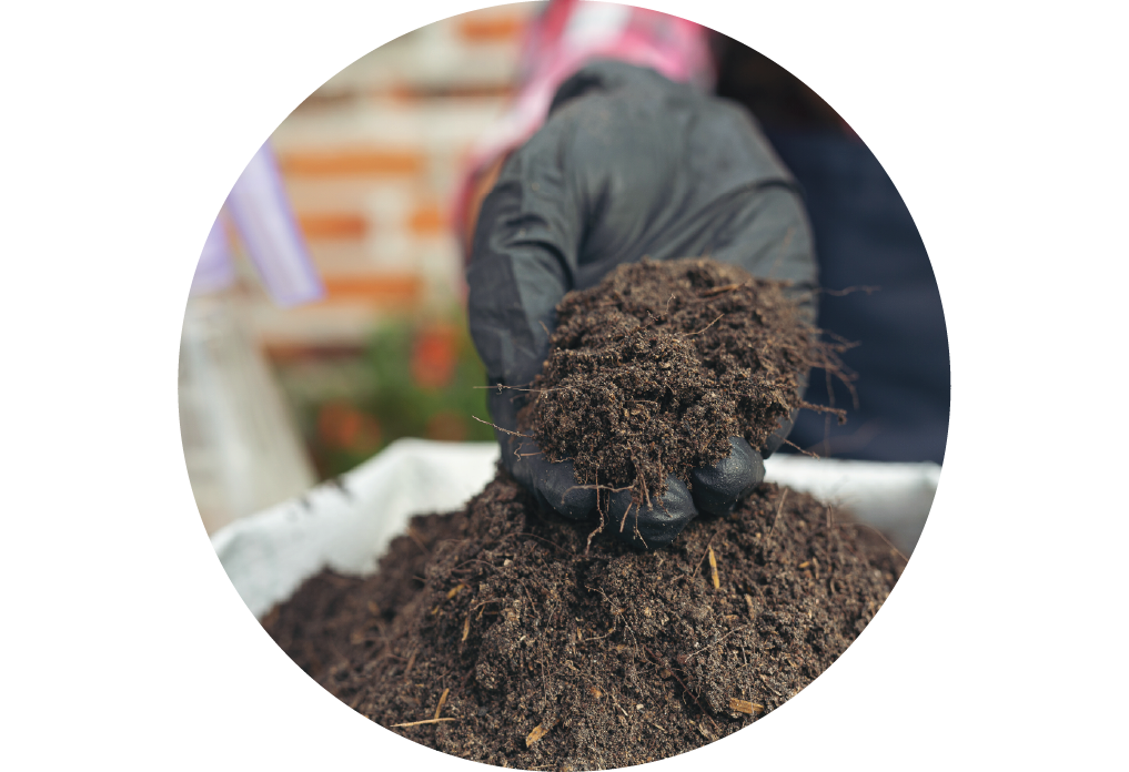 Compost Heap