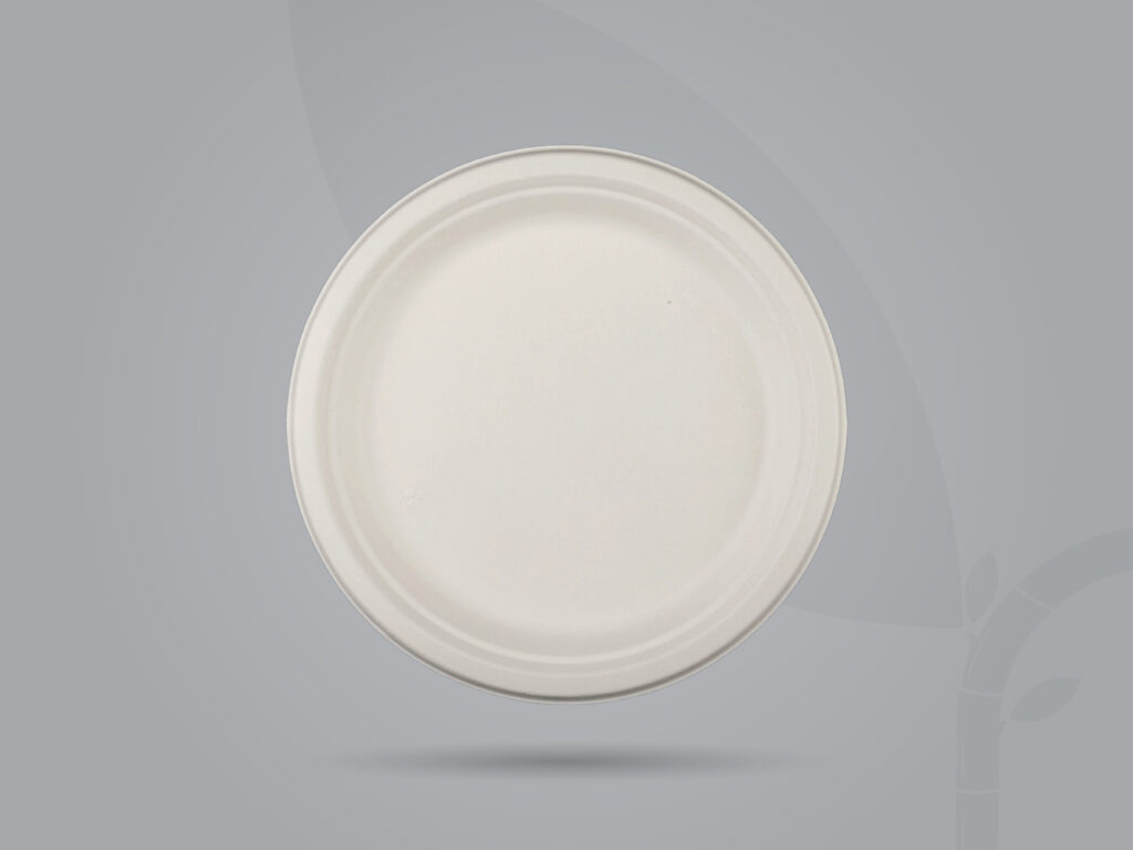 Round Plate_10- RP