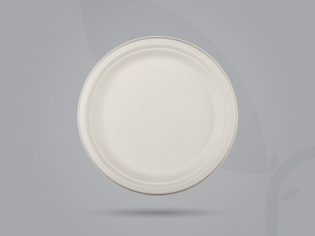Round Plate_11- RP