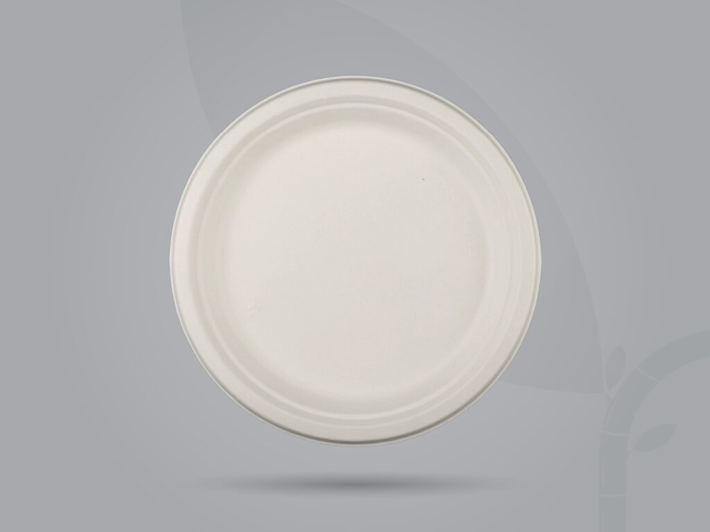 Round Plate_12- RP