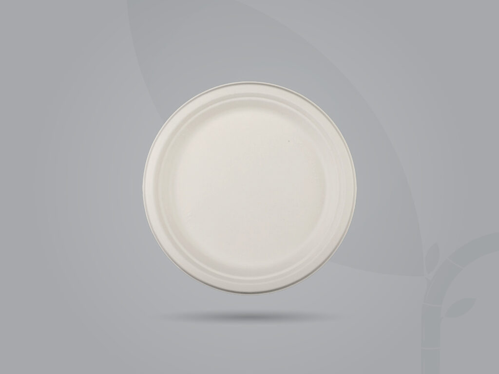 Round Plate_6- RP